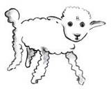 img5.jpg